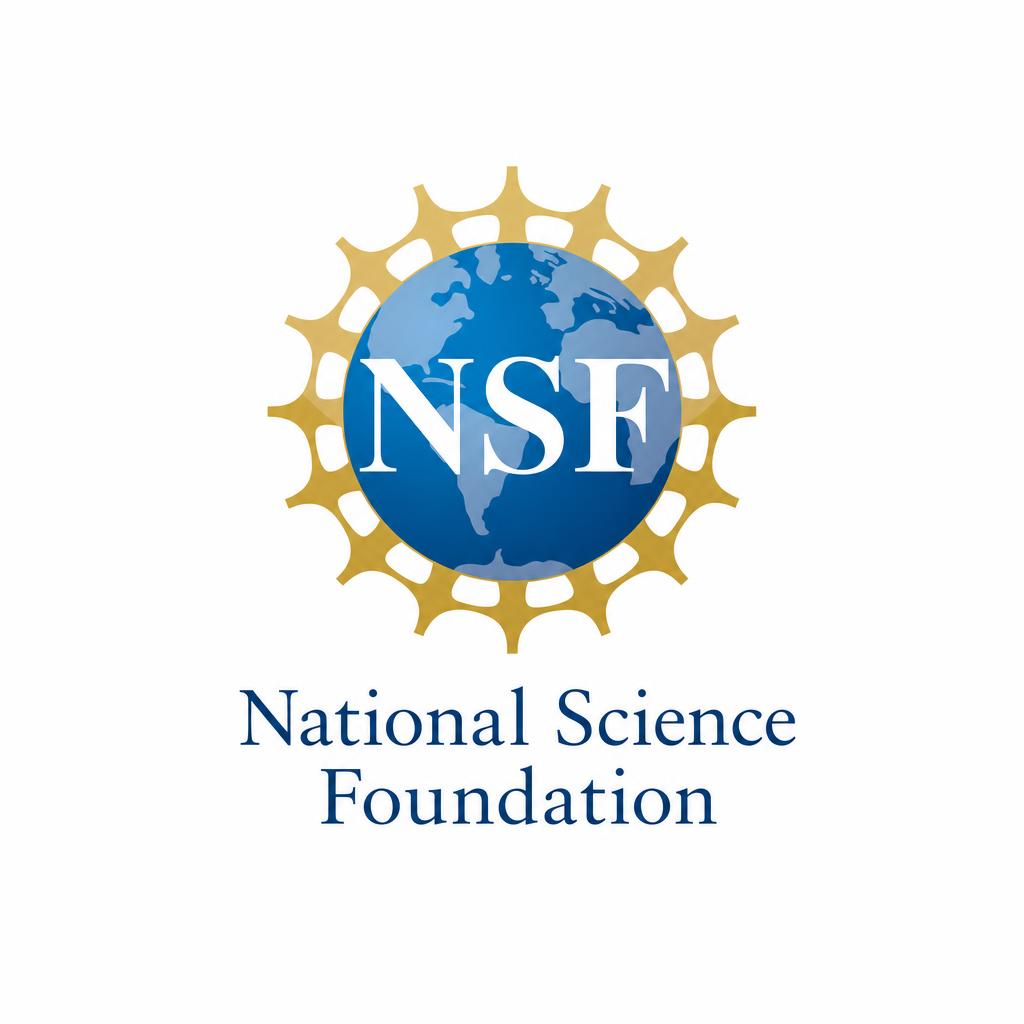 Researcher preparing an NSF grant proposal